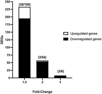 Vitrification Effects on the Transcriptome of in vivo-Derived Porcine Morulae